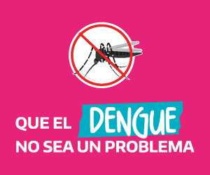 Qué el dengue no sea problema